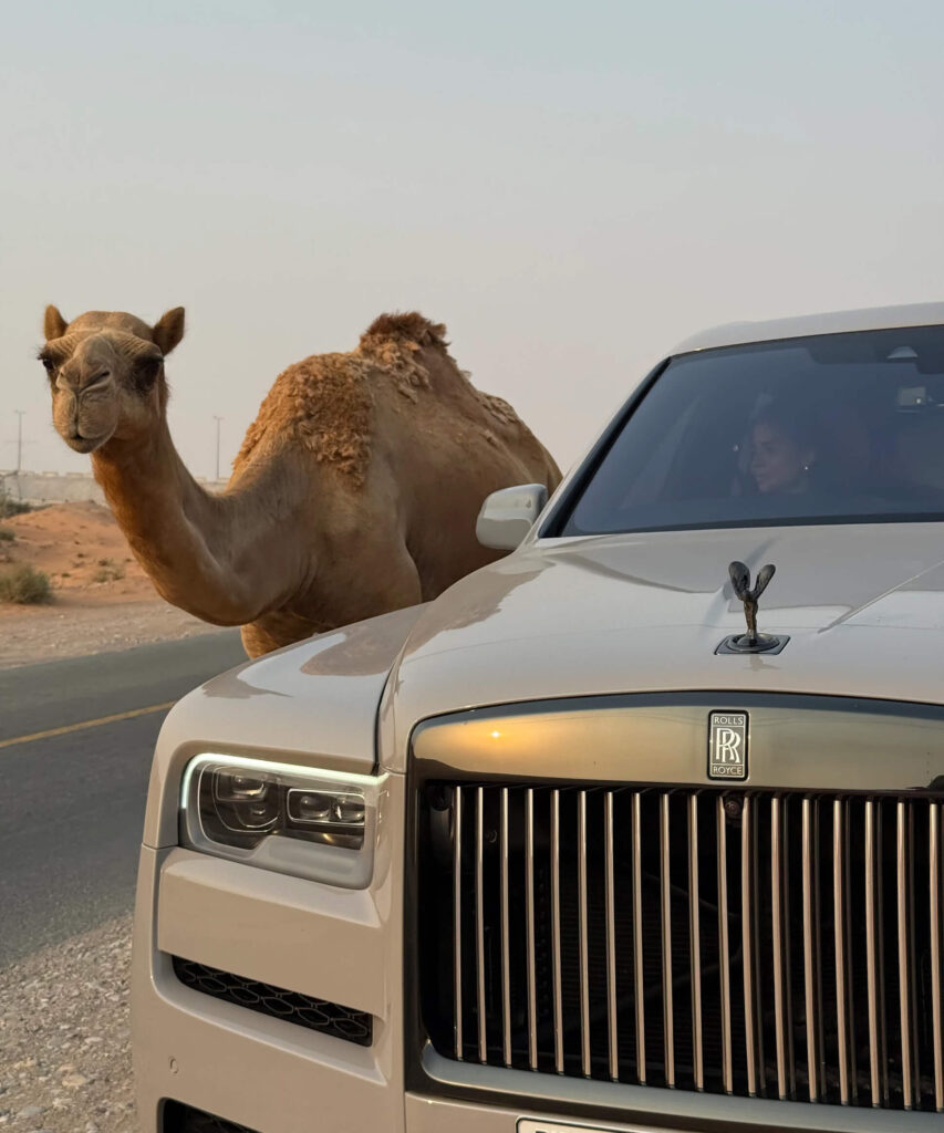 Отзывы Top Sniper